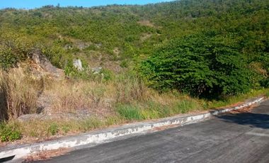 150 SQM Overlooking Lot for Sale in Greenville Heights Consolacion Cebu.  -Mountain View