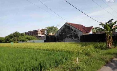 Tanah Strategis Pinggir Jalan Luas 1430m2 Desa Kalitirto Berbah Sleman Jogyakarga