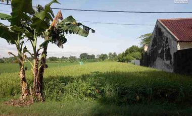 Tanah Strategis Pinggir Jalan Luas 1430m2 Desa Kalitirto Berbah Sleman Jogyakarga