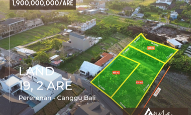 Dijual 3 plot bidang tanah hak milik luas total 19,2 Are pinggir jalan utama di Pererenan Canggu.