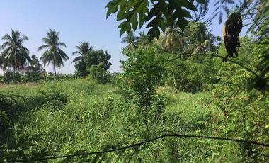131 square wah Land for sale in Nakhon Pathom