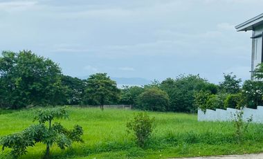 Good Deal: Ayala Greenfield Estates - Above the Bay, Phase 6 , 579 Sqm., Calamba City, Laguna