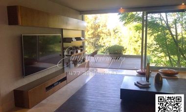 CASA EN RENTA, CLUB CAMPESTRE, ALBERCA, 1,167m2, 4 REC. SIN MUEBLES. 6 AUTOS