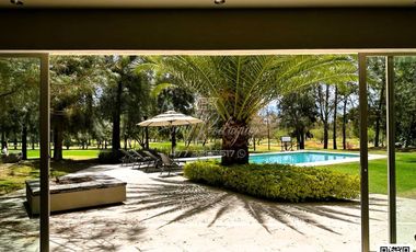 CASA EN RENTA, CLUB CAMPESTRE, ALBERCA, 1,167m2, 4 REC. SIN MUEBLES. 6 AUTOS
