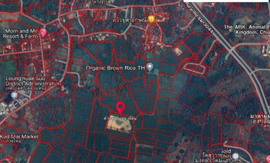 8+rai of ready to build land with stunning views for sale in Doi Saket, Chiang Mai