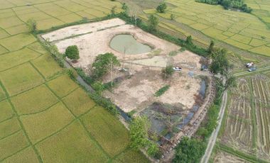 8+rai of ready to build land with stunning views for sale in Doi Saket, Chiang Mai