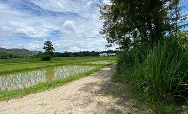 8+rai of ready to build land with stunning views for sale in Doi Saket, Chiang Mai