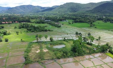 8+rai of ready to build land with stunning views for sale in Doi Saket, Chiang Mai