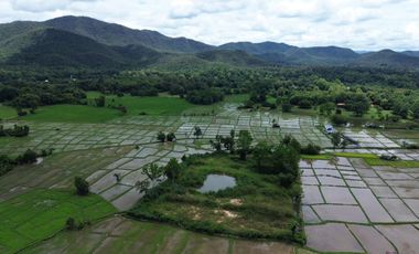 8+rai of ready to build land with stunning views for sale in Doi Saket, Chiang Mai