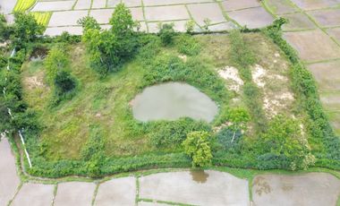 8+rai of ready to build land with stunning views for sale in Doi Saket, Chiang Mai