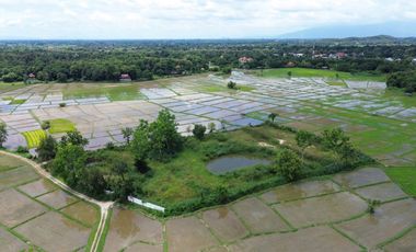 8+rai of ready to build land with stunning views for sale in Doi Saket, Chiang Mai