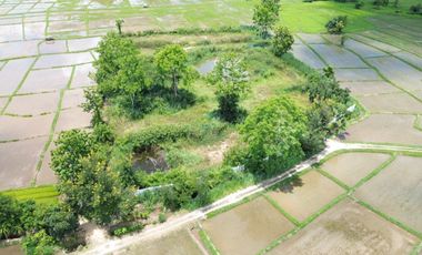 8+rai of ready to build land with stunning views for sale in Doi Saket, Chiang Mai