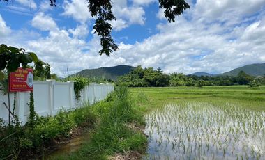8+rai of ready to build land with stunning views for sale in Doi Saket, Chiang Mai