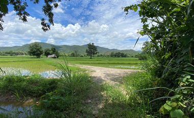 8+rai of ready to build land with stunning views for sale in Doi Saket, Chiang Mai
