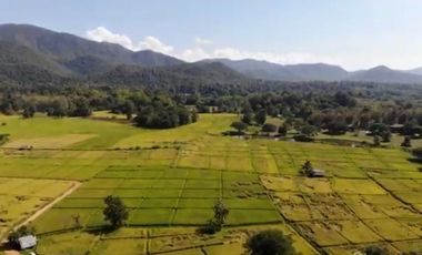 8+rai of ready to build land with stunning views for sale in Doi Saket, Chiang Mai