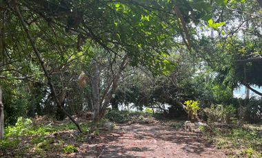 TERRENO EN VENTA, LAGUNA DE AJIJIC, JALISCO