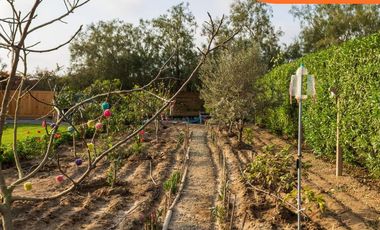 LINDA CASA DE CAMPO CON PRECIOSA ÁREA VERDE y ÁRBOLES FRUTALES 🔆🏡