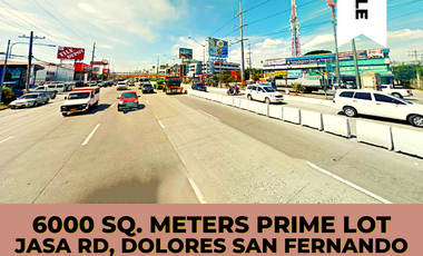 6600 sqm along JASA Rd Dolores San Fernando