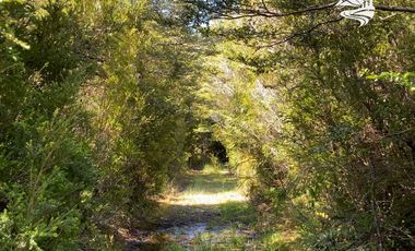 Parcelas en venta Reservas del Río Blanco - Lago Chapo,  a 40 minutos de Puerto Montten