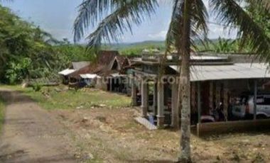 DIJUAL LAHAN Kebun kelapa, siap panen di Tulung agung
