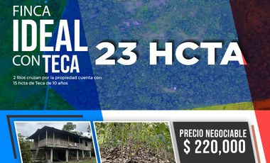 VENDO FINCA DE TECA 23 HECTAREAS EN FLAVIO ALFARO