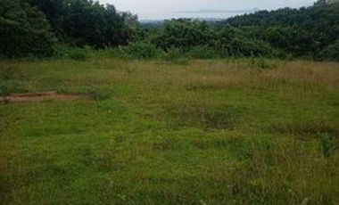Attention all investors and developers! A unique opportunity awaits you with this 106-hectare agricultural pastureland in Brgy. Alion, Mariveles, Bataan, Philippines
