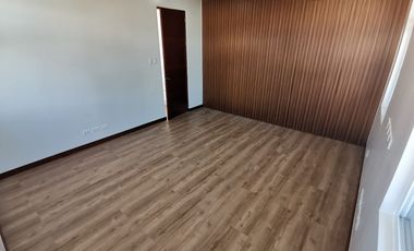 Brand New Modern 2-storey House For Sale, BF Homes, Paranaque