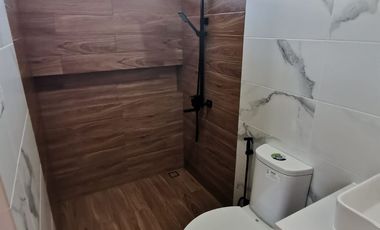 Brand New Modern 2-storey House For Sale, BF Homes, Paranaque