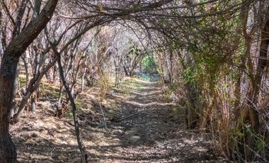 Terreno de 2.2 hectáreas en Cochiguaz, Valle del Elqui. $280 millones