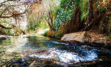Terreno de 2.2 hectáreas en Cochiguaz, Valle del Elqui. $280 millones