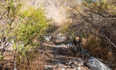 Terreno de 2.2 hectáreas en Cochiguaz, Valle del Elqui. $280 millones