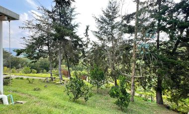 FINCA EN VENTA, MARINILLA VIA EL PEÑOL ANTIOQUIA.