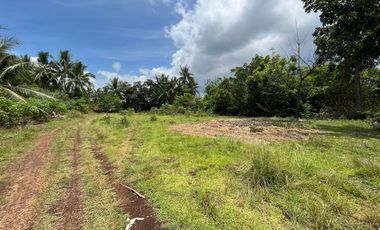 COMMERCIAL/RESIDENTIAL LOT FOR SALE AT DANAO, PANGLAO, BOHOL