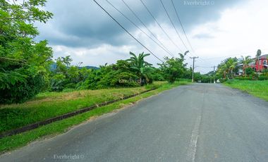 Tagaytay Midlands | Residential Lot For Sale - #3694