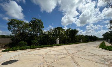 Terreno en Venta, Losantos Huayacan, Cancún Quintana Roo.