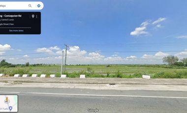 FOR SALE RAWLAND ALONG PROVINCIAL HIGHWAY IN TARLAC NEAR NLEX/SCTEX WITHIN INDUSTRIAL ZONE