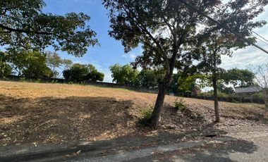 Ayala Alabang Village Muntinlupa | Lot For Sale