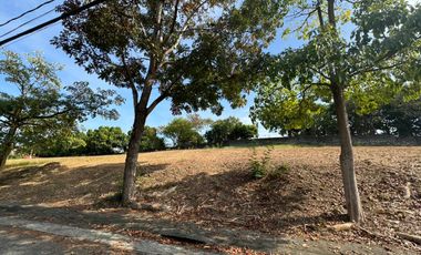 Ayala Alabang Village Muntinlupa | Lot For Sale