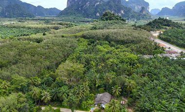 17 rai of land with remarkable mountain views for sale in Khao Thong, Krabi.