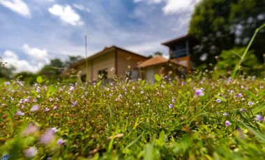 2 bed bungalow 3 rai Warin Chamrap Ubon Ratchathani Thailand