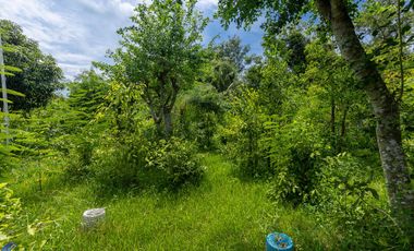 2 bed bungalow 3 rai Warin Chamrap Ubon Ratchathani Thailand