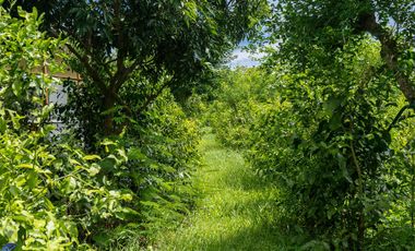 2 bed bungalow 3 rai Warin Chamrap Ubon Ratchathani Thailand