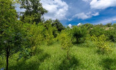 2 bed bungalow 3 rai Warin Chamrap Ubon Ratchathani Thailand