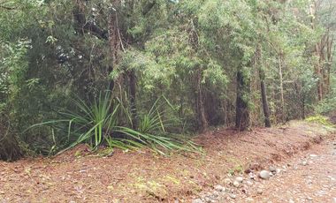 Ultimas Parcela Ecológicas Los Coigües, Valdivia Precio desde UF 1.550