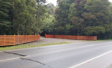 Ultimas Parcela Ecológicas Los Coigües, Valdivia Precio desde UF 1.550