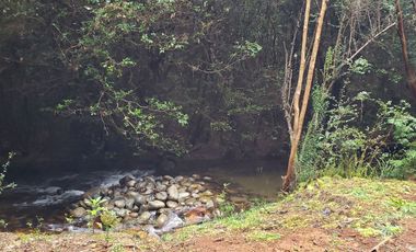 Ultimas Parcela Ecológicas Los Coigües, Valdivia Precio desde UF 1.550