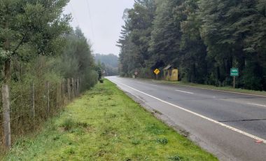 Ultimas Parcela Ecológicas Los Coigües, Valdivia Precio desde UF 1.550