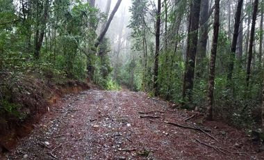 Ultimas Parcela Ecológicas Los Coigües, Valdivia Precio desde UF 1.550
