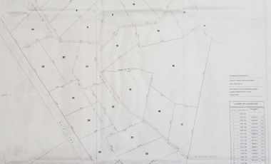 Ultimas Parcela Ecológicas Los Coigües, Valdivia Precio desde UF 1.550