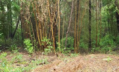 Ultimas Parcela Ecológicas Los Coigües, Valdivia Precio desde UF 1.550